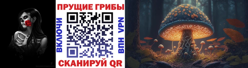 Галлюциногенные грибы прущие грибы  Купить  Пролетарск 